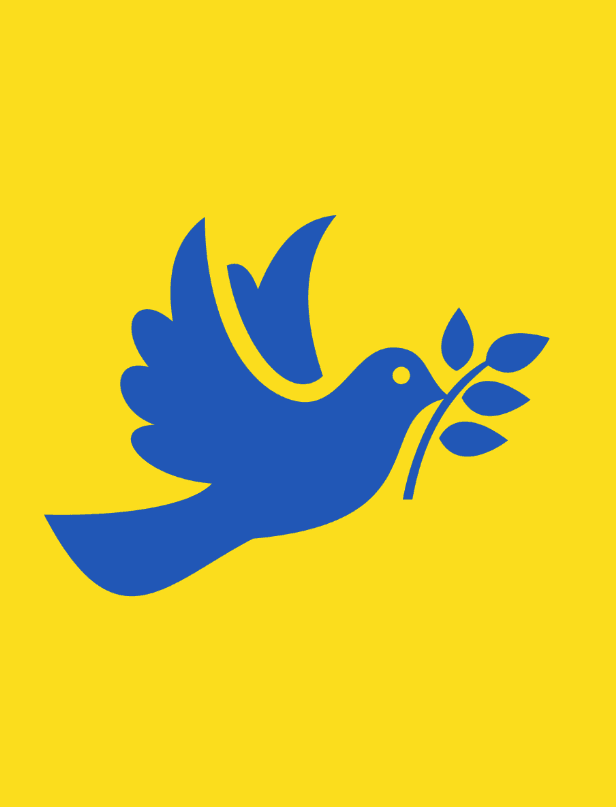 Ukraine officially agrees to a US backed ceasefire framework in 2025? card icon