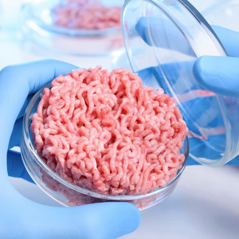 Another state bans lab-grown meat in May?