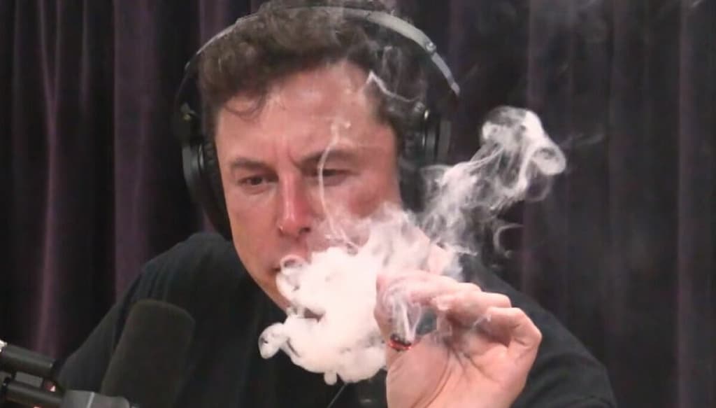 Nothing Ever Happens: Elon Edition