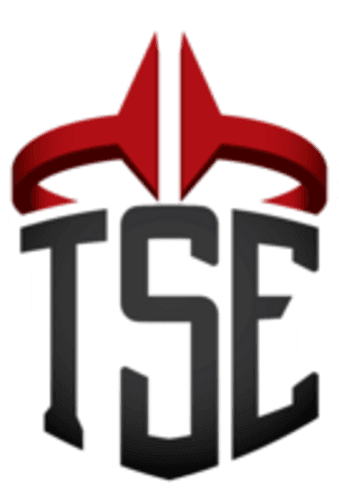 tse icon