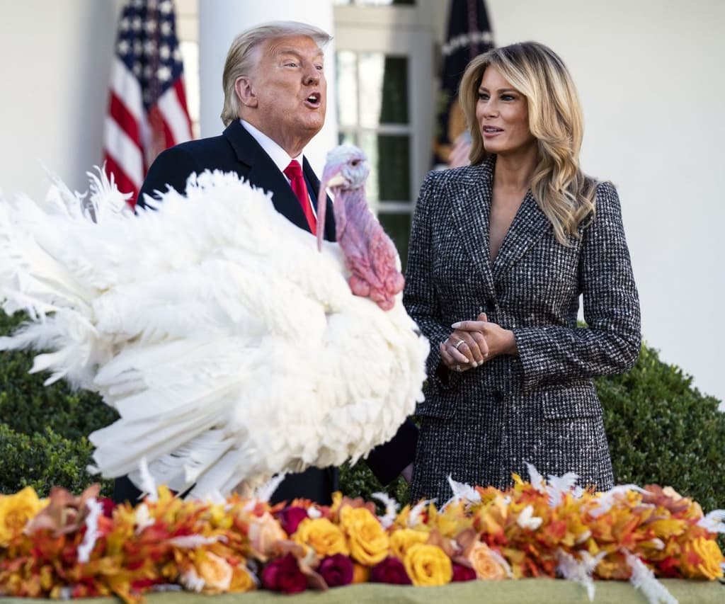 What will Trump say in November?